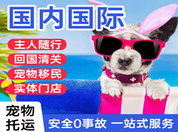 温州航空货运国际宠物托运 【国